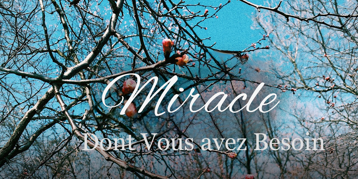 Préparez Votre Coeur Pour Recevoir le Miracle Dont Vous avez Besoin